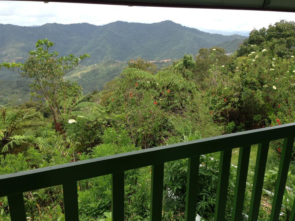 D'Villa Rina Ria Lodge, Kinabalu Park, Kundasang Bundu Tuhan エクステリア 写真