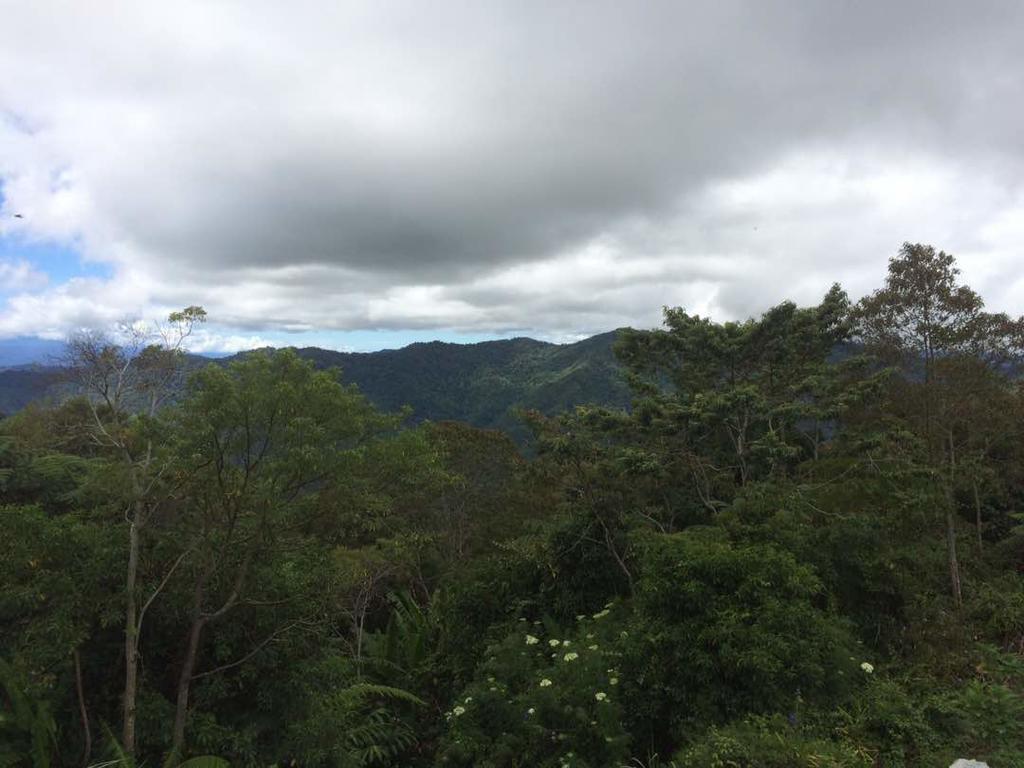 D'Villa Rina Ria Lodge, Kinabalu Park, Kundasang Bundu Tuhan エクステリア 写真