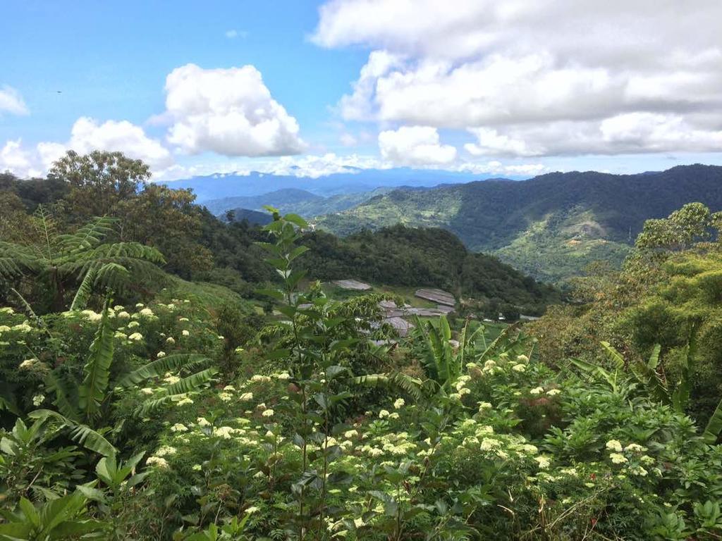 D'Villa Rina Ria Lodge, Kinabalu Park, Kundasang Bundu Tuhan エクステリア 写真