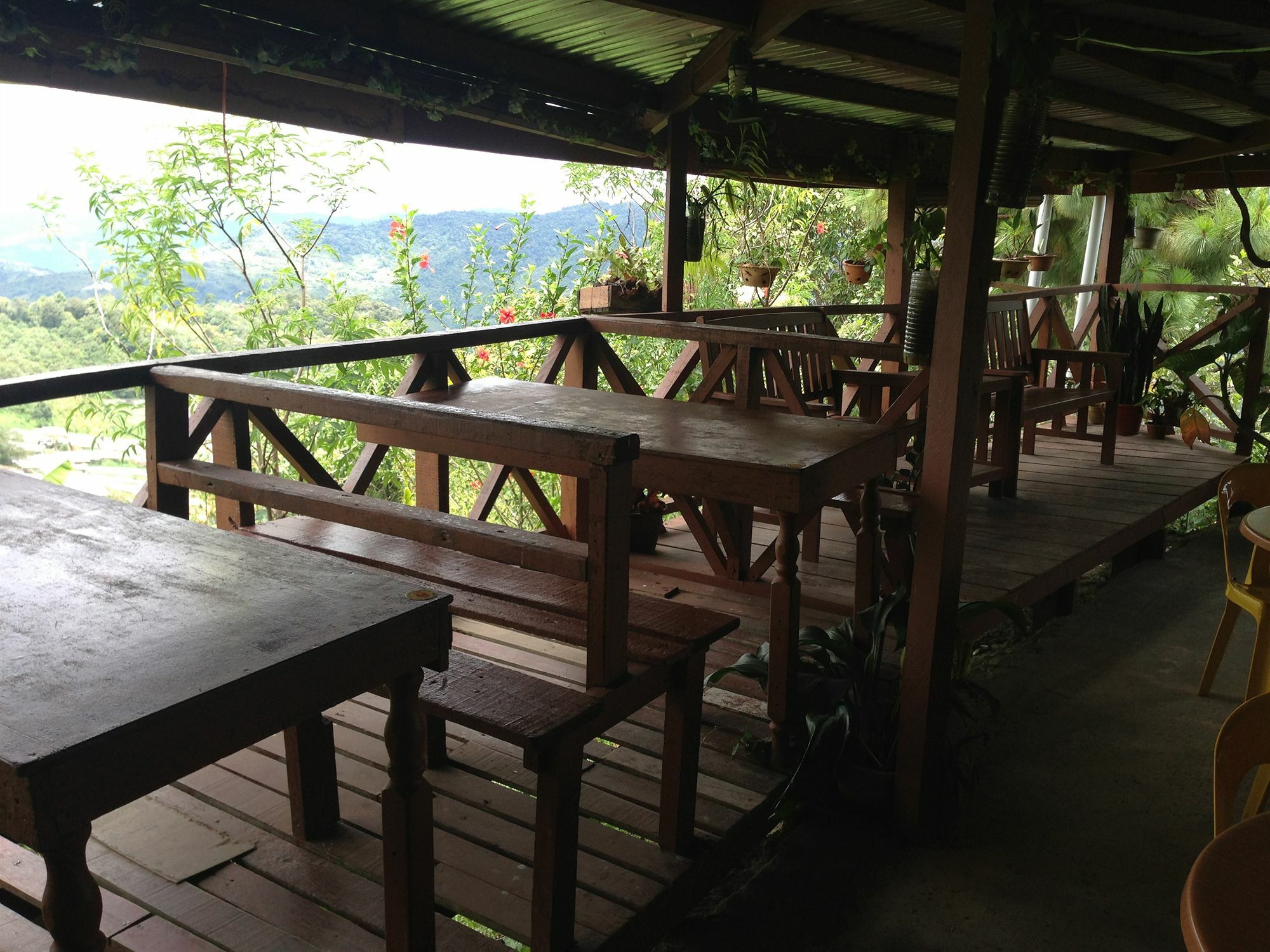 D'Villa Rina Ria Lodge, Kinabalu Park, Kundasang Bundu Tuhan エクステリア 写真